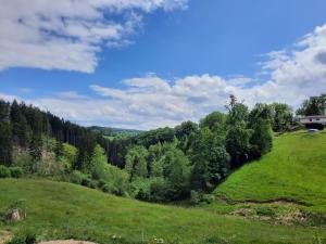 马尔梅迪Superbe Appart' Bois De Fagne的山丘上绿树成荫的田野