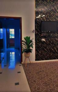萨维奇هتان السودة Hattan Al-Sodah的一间种植了盆栽植物和蓝色墙壁的房间