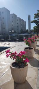 帕尔马斯AP confortável para sua família的庭院里种植了三株粉红色花卉的盆栽植物