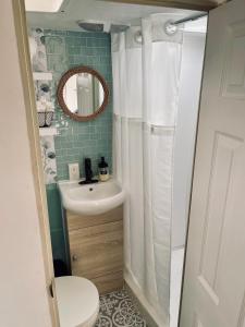 蒂梅丘拉Rustic Farm Stay的一间带水槽和镜子的小浴室