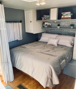 蒂梅丘拉Rustic Farm Stay的蓝色墙壁的小房间中的一张床位