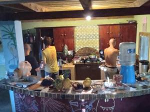 Agua AzulHostel Del Lago Yojoa Backpackers的一群人在厨房准备食物