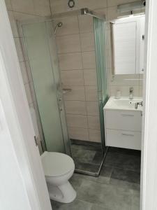普纳特Apartmani Grabovčić的一间带卫生间和水槽的浴室