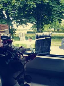 MoormerlandFeWo Unner'd Kastanje的从窗口可欣赏到桌椅的景色