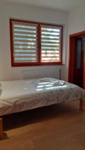 索瓦塔卡梅利亚旅馆的卧室内的一张床位,设有两个窗户