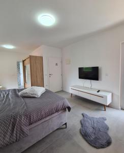 布戈伊诺Apartmani Bugojno的一间卧室配有一张床,墙上配有电视