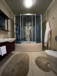 NovakiHotel complex Lenivaya Vera的带淋浴、卫生间和盥洗盆的浴室