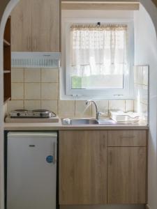 帕拉塔蒙Platamon Family Apartments的一个带水槽和窗户的小厨房
