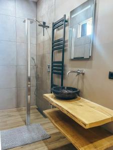 DinxperloDe Malle Molen的一间带水槽和淋浴的浴室