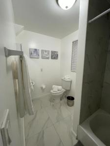 迈阿密Guest house near Downtown Miami的白色的浴室设有卫生间和淋浴。