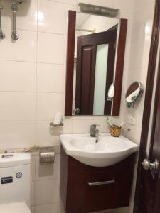 河内Hanoi Charming House的一间带水槽、镜子和卫生间的浴室