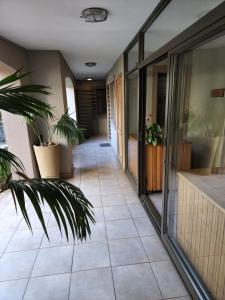 比勒陀利亚Homely Apartment, Hatfield, Unit-9的楼内带有盆栽的走廊