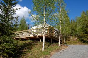 Prestfoss哈沃尔塞斯山林小屋的山坡上树木的建筑物