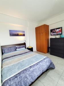 新阿尔塔基PiPi's House的一间卧室配有一张床和一台平面电视