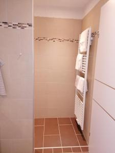 蓬高地区圣法伊特Sonnfeld Appartement的带淋浴的浴室(带玻璃淋浴间)