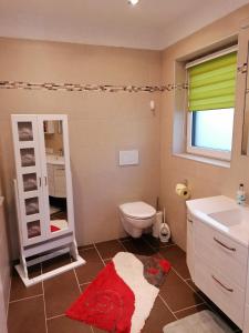 蓬高地区圣法伊特Sonnfeld Appartement的一间带卫生间、水槽和镜子的浴室