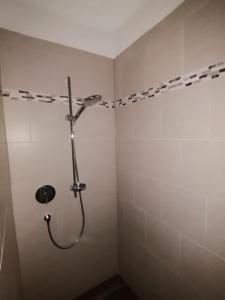蓬高地区圣法伊特Sonnfeld Appartement的浴室铺有白色瓷砖,设有淋浴。
