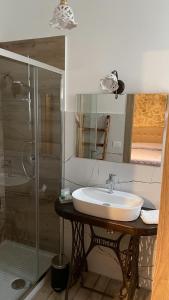 恩纳Agriturismo Borgo Furma的一间带水槽和淋浴的浴室