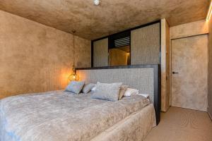 斯文托伊VAIVA Apartments, Palanga的一间卧室配有一张大床和镜子