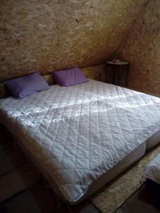 乌尔齐尼Veličanka的一张带紫色枕头的床