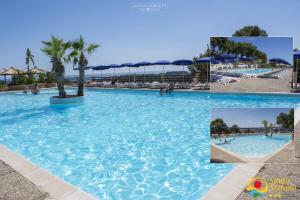 维耶斯泰Villaggio Santo Stefano的棕榈树度假村的游泳池
