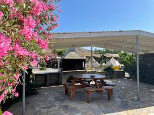 Simos Camping Elafonisos & Bungalows的庭院或其他户外区域