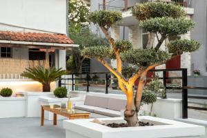 乐托卡亚Villa Chrisanthi的种植园里一棵树,长着沙发和桌子