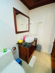 琅勃拉邦Luang Prabang Villa Sirikili River View的一间带水槽和镜子的浴室