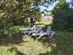 BarbadilloCasa chalet en el campo的草地上的一组草坪椅子和一张桌子