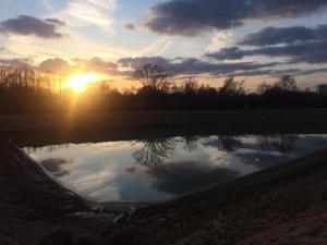 沃金厄姆Strawberry Fields Glamping at Cottrell Family Farm的日落时分在池塘里反射天空