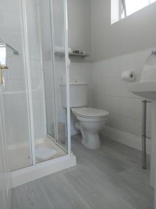 科克Blackrock Carole Ville Guesthouse的浴室配有卫生间、淋浴和盥洗盆。