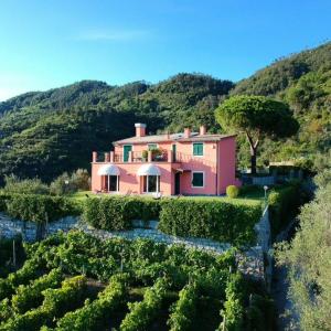 莱万托La Vignana - 5 Terre的山中的一个粉红色房子
