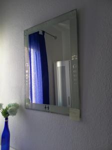 圣克鲁斯-德特内里费habitación en el centro的一面墙上的镜子,上面有蓝色的花瓶