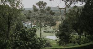 蒙特韦尔迪Roots Resort的享有树木公园和池塘的景色