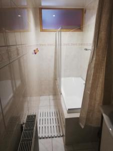 圣路易Commealamaison的带淋浴和卫生间的浴室。