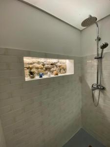 阿维莱斯Apartamentos Rosa La Bonita的带淋浴的浴室和墙上的照片