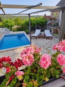 Donje Selo na ŠoltiApartments Tomina的一座拥有粉红色花卉和遮阳伞的游泳池