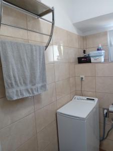 布里尼Kastelanic apartman的一间带洗衣机和毛巾的浴室