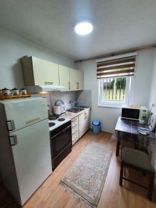 维索科Apartmani Podvisoki的厨房配有白色冰箱和桌子