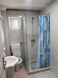 维索科Apartmani Podvisoki的带淋浴、卫生间和盥洗盆的浴室