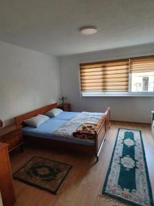 维索科Apartmani Podvisoki的一间卧室设有床、窗户和地毯。