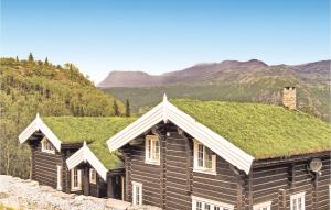 海姆瑟达尔赫姆赛达尔拉纳布度假屋的小木屋设有山地草屋顶