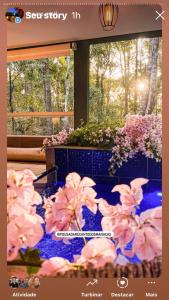 皮雷诺波利斯Recanto dos manacas的窗户房间里粉红色的鲜花