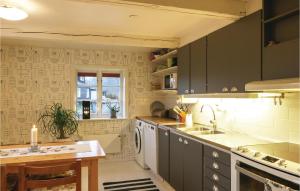 Östra SönnarslövGorgeous Home In stra Snnarslv With Kitchen的厨房配有灰色橱柜和水槽