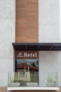 萨尔瓦多普拉提奴姆酒店的两棵盆栽植物的酒店窗口