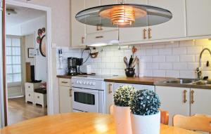 吕瑟希尔Amazing Home In Lysekil With 4 Bedrooms, Sauna And Wifi的厨房配有白色橱柜和植物桌子