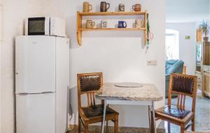 弗赖贝格Stunning Apartment In Freiberg With Kitchen的厨房配有白色冰箱、桌子和椅子