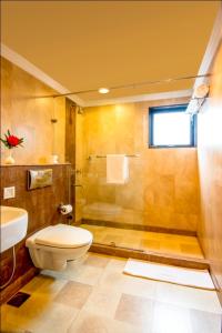 奈尼塔尔维克拉姆复古酒店的带淋浴、卫生间和盥洗盆的浴室