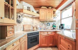 蒙德塞Pet Friendly Home In Mondsee With Kitchen的厨房配有木制橱柜和炉灶烤箱。