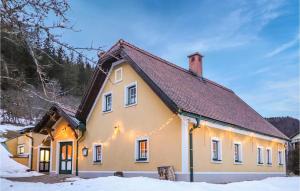 米尔茨施泰格Stunning Home In Mrzsteg With House A Mountain View的雪中带圣诞灯的房子